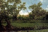 Martin Johnson Heade Canvas Paintings - Brookside Asters In A Field